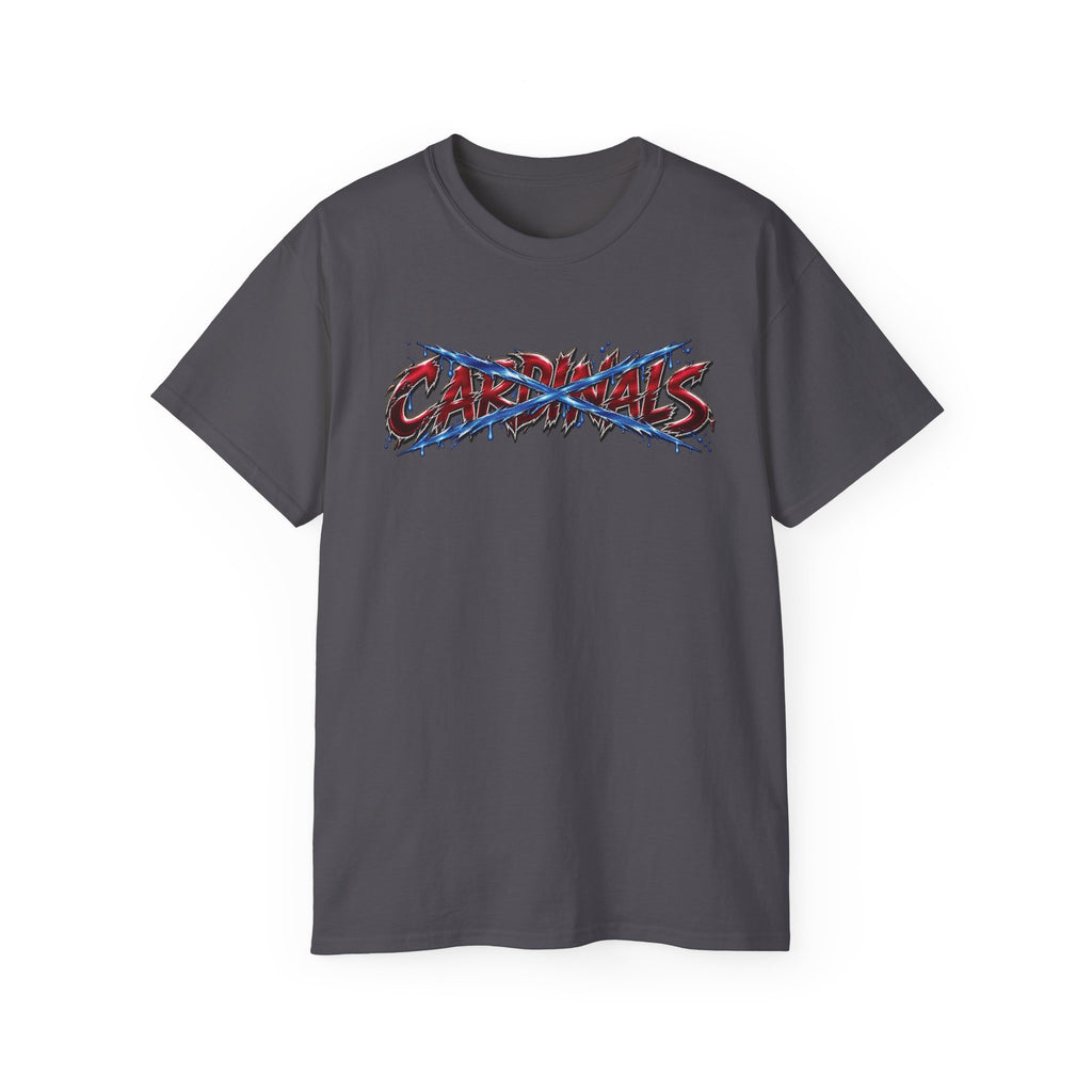 Detroit vs Arizona Rivalry Graphic Tee | Lions vs Cardinals Illustration, Bold Lettering