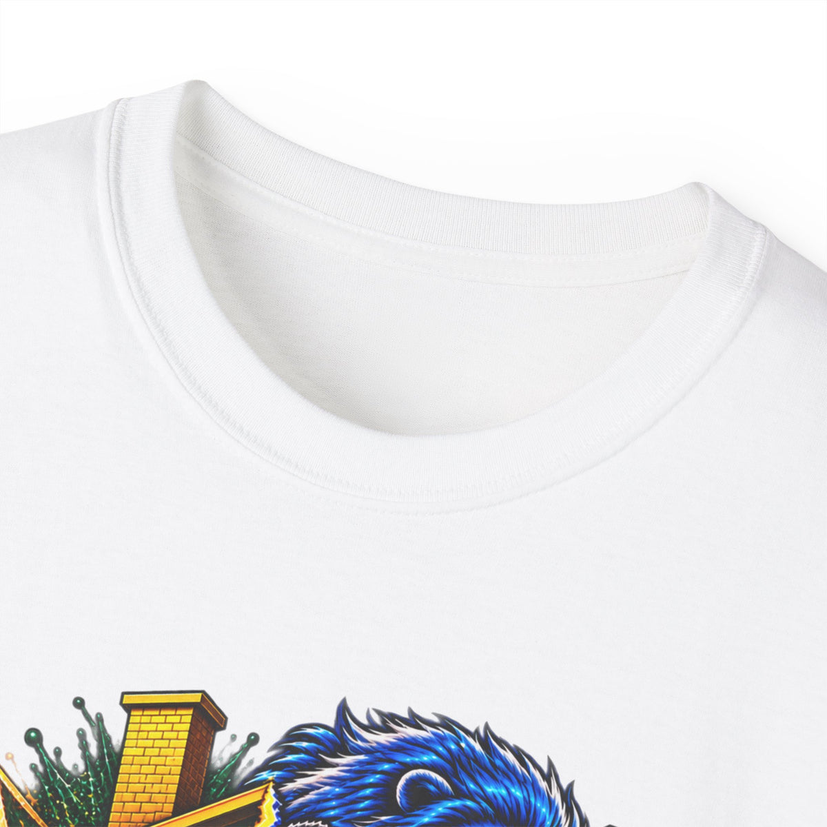 A House Divided Detroit vs Green Bay T-Shirt | Football Rivalry Tee