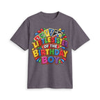 Little Sister of the Birthday Boy T Shirt | Colorful Birthday Siblings Design